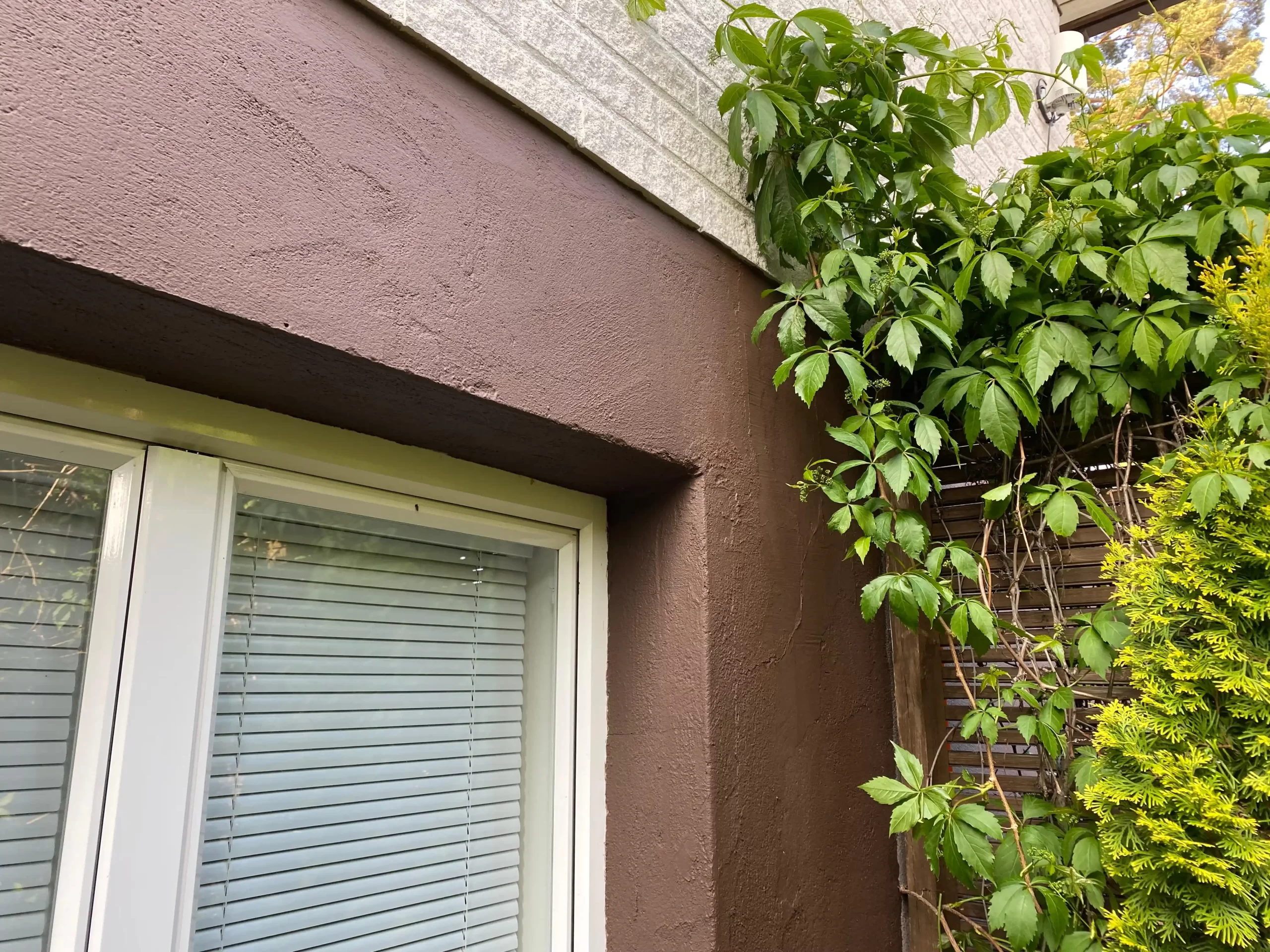 Rapatun julkisivun maalaus