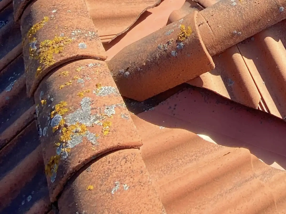 Sammaloitunut tiilikatto ennen pinnoitusta